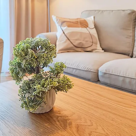 Filinhome Brankovica *