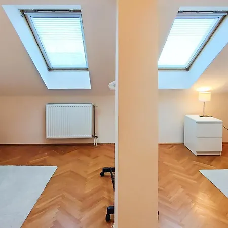 Filinhome Brankovica Novi Sad